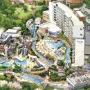 스플라스리솜 이미지