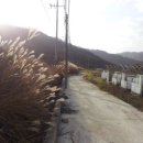 대각보건진료소 이미지