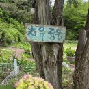 남양주 원데이클래스 '흙과나무' 텍스처아트부터 맨발걷기, 제철 비빔밥까지 완벽했던 재방문 후기