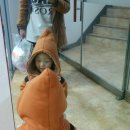 연천군청소년수련관 수영장 이미지