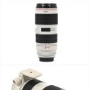 캐논 EF 70-200mm F2.8L IS III USM 89% 이미지