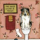 대전항외과의원 이미지