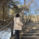 강원도 겨울 영월 여행 가볼만한곳 한반도지형 전망대 방문후기