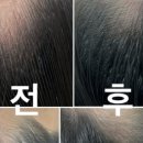 미작헤어블러그