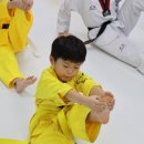 호림태권도장 이미지