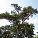 금천2리 이미지