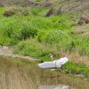텐코인노래연습장 광교경기대점 이미지