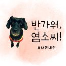 낙원꽃농원 | 부모님 취향 저격! 70대 아빠와 거제도 외도 보타니아&해금강 유람선 다녀온 솔직 후기(내돈내산)