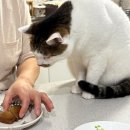 [평생학습관] 감동이 배가 되는 명화 이야기 | 10월 1주 :: 좃뺑이 뒤에 찾아온 달콤 연휴(1)