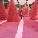 봉식이놀이터 이미지