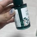 라운드랩 소나무 진정 시카 앰플 내돈내산 후기 (올리브영 어워즈 기획)
