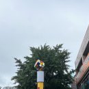 서울 동묘 완구거리 말랑이 왁뿌볼 성지 투어 후기 주말방문 말랑이 가게 추천 내돈내산 솔직후기