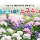 ﻿수국축제 명소 TOP5 소개 및 안내﻿ 이미지