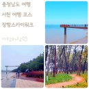 세븐일레븐 서천청소년수련관점 | 서천 장항스카이워크 전망대 장항송림산림욕장 겨울 여행 산책 풍경