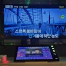 악쓰는 하마 코인 노래연습장 이미지