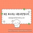 리벌스(Rebirth)