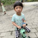 소유선물가게 이미지