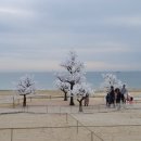 부산역관광안내소 이미지