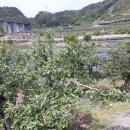 강가농장 이미지