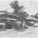 덕마령 동아일보
