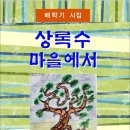 상록수 마을에서 / 배학기 시집 (전자책) 이미지