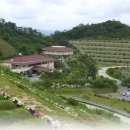 영락공원로 이미지