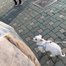 타임세탁소 | 문래동 당산동 세탁소 ‘진로세탁소’ 에서 패딩 드라이클리닝 고기기름 지운 후기