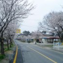 금암1리 마을회관 이미지