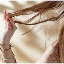신승원컷앤컷 - 제주시 노형1길 43 | 신승원컷앤컷