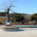 근흥초등학교 이미지