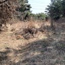 늘찬농장 이미지