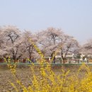 내산초등학교 이미지