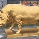 황금어시장 이미지