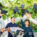 이상우 농장 이미지