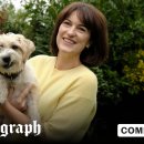 MY DOG GROOMING 이미지