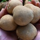 수미축산 이미지