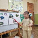 토파즈반💙 이가인💙의 기자활동(다른나라 개구리 소개) 이미지