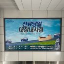 언주역 / 비에비스 나무병원 위 대장 당일내시경 찐 후기