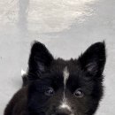 다루동물병원 이미지