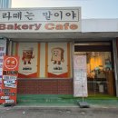 라떼는말이야 | 「라떼는 말이야 오남 빵집 후기｜수제 디저트·미니케이크 맛집」