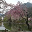 영산면사무소 이미지