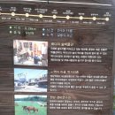 고양삼송14 Daum카페