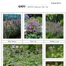 바보농장 이미지