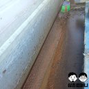 진동산막 이미지