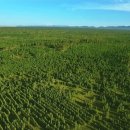 유한컴퍼니 이미지