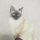 채색화 초급 이미지