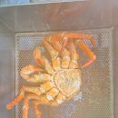 연후수산 | 수원킹크랩, 수원킹크랩시세 대명수산