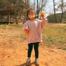 다르게 천천히 이미지