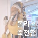 몰리스 죽전점 네이버블로그