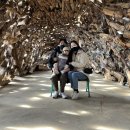 하슬라농장 이미지